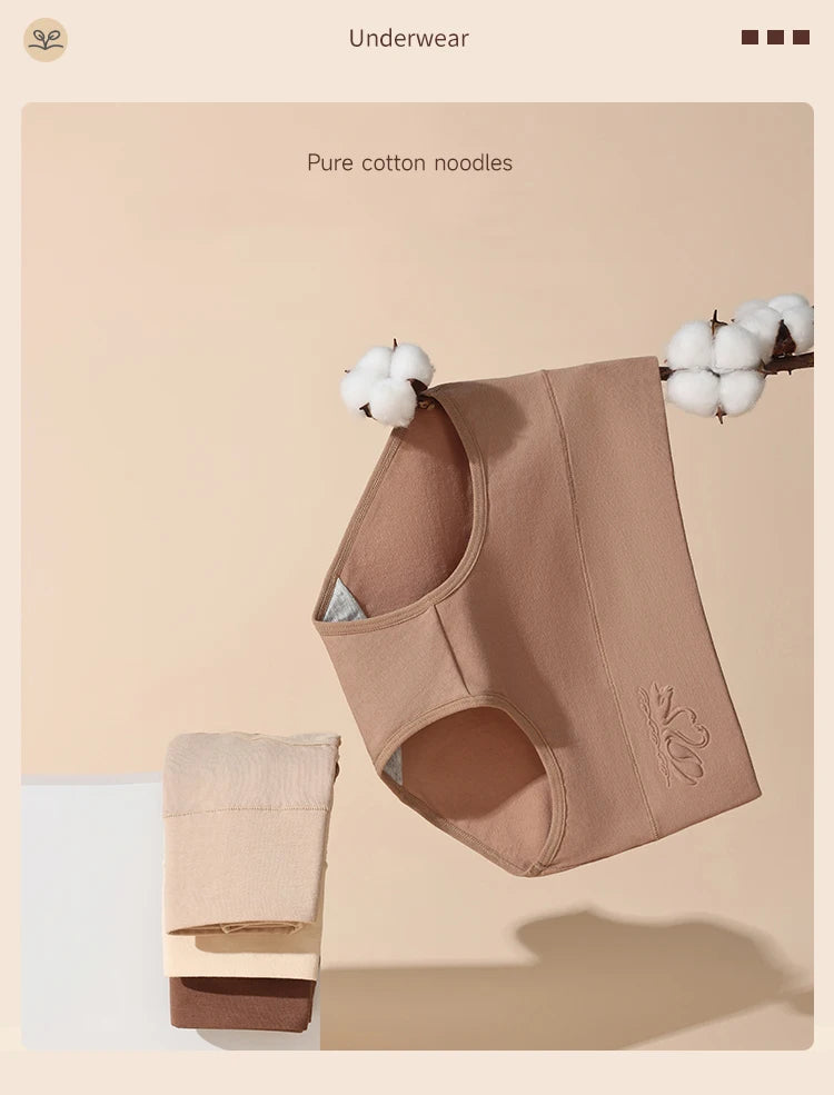 High Waist Women's Panties Body Shaper Underwear